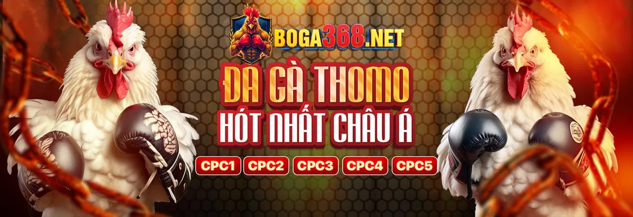 Biểu đồ chiến thuật chơi Bắn Cá hiệu quả tại 8888bet win
