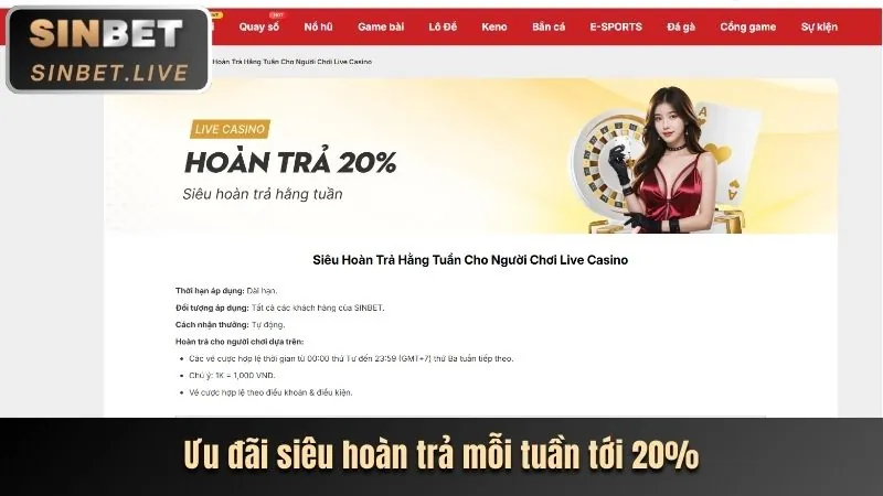 Tiếp cận thị trường lớn